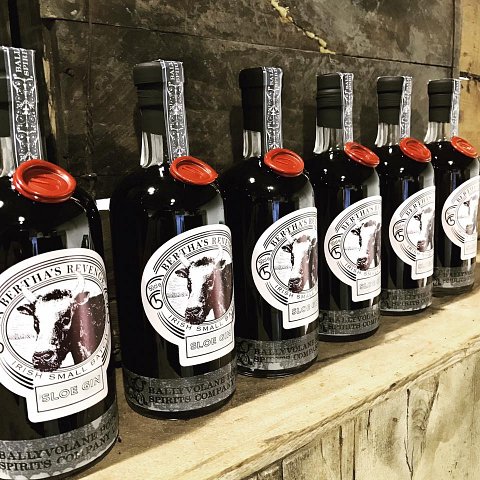Bertha's Revenge Sloe Gin