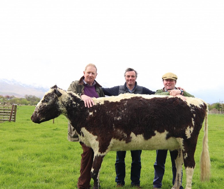 Bertha pictured with George Kelly, Bertha's owner, Justin & Antony