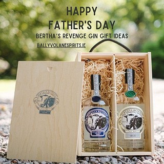 Father's Day Gift Ideas - Bertha's Revenge Gin