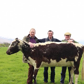 Bertha pictured with George Kelly, Bertha's owner, Justin & Antony