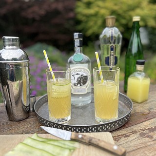 Irish Garden Cocktail with Bertha's Revenge Gin
