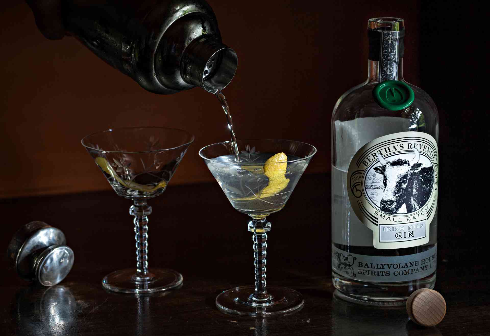 The Perfect Dry Martini Cocktail News from Ballyvolane House Spirits