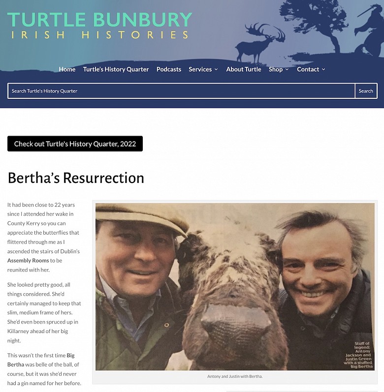 'Bertha's Resurrection' by Turtle Bunbury