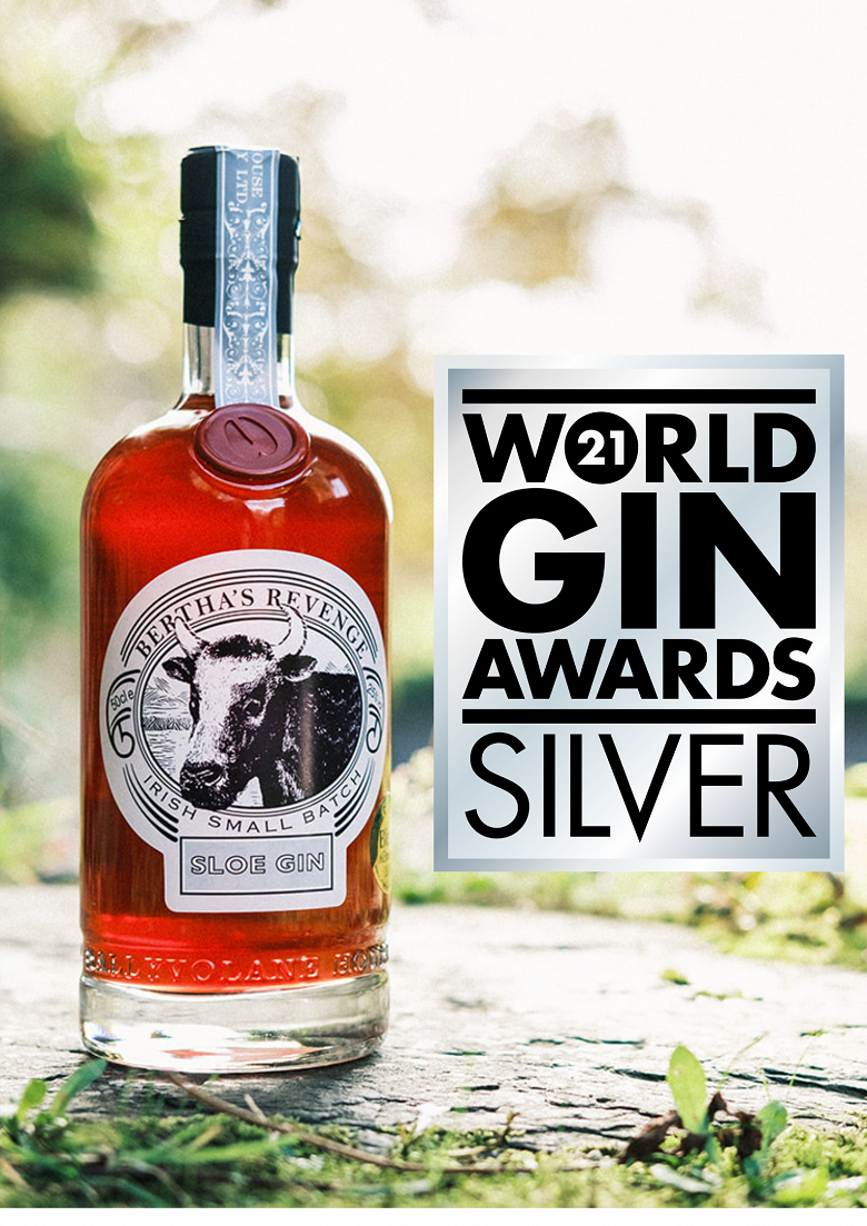 World Gin Awards 2021 Silver for Sloe Bertha